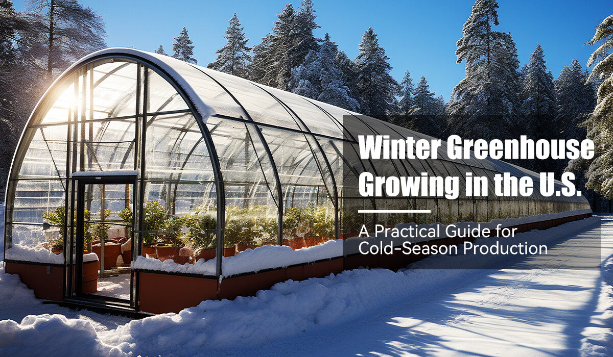 Winter Greenhouse Growing in the United States: A Practical Guide