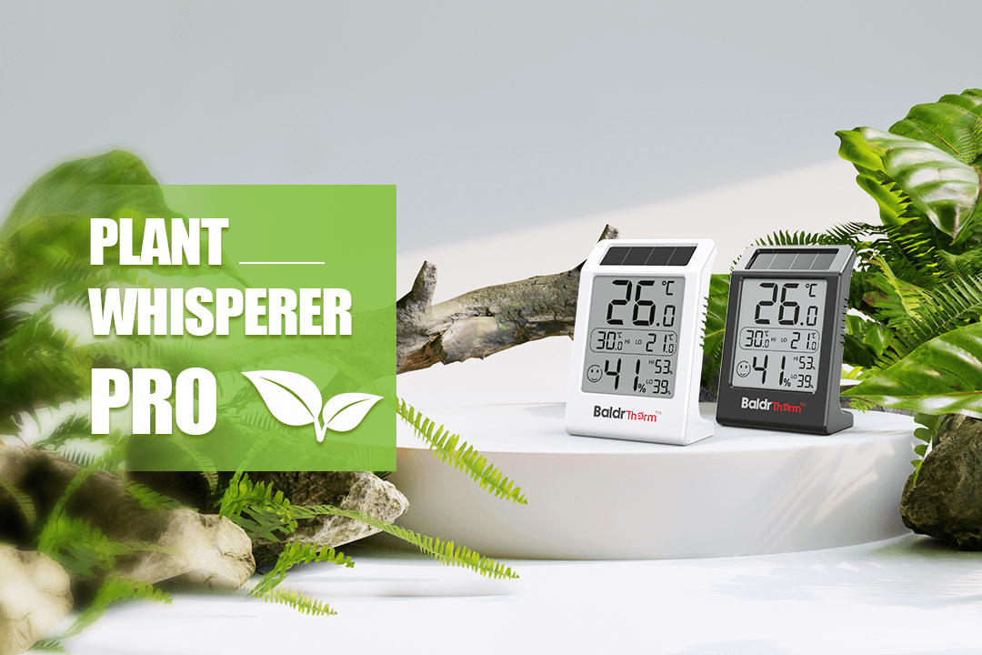 Plant Whisperer Pro: How the BaldrTherm Hygrometer Saved My Jungle (And Can Save Yours Too!) 🌿