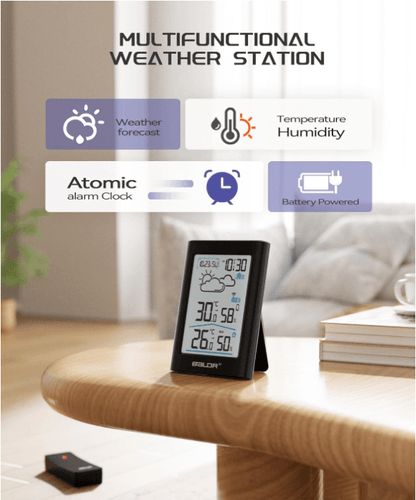 BaldrTherm Wireless Weather Station – Indoor & Outdoor Temp/Humidity