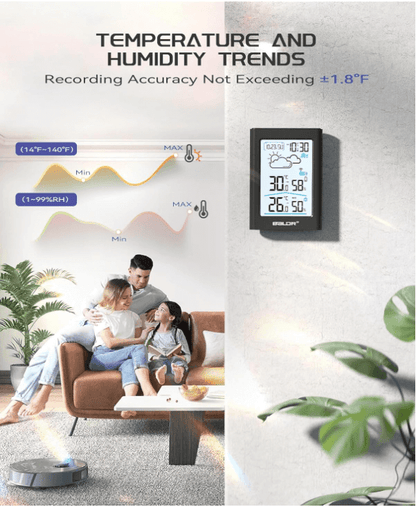 BaldrTherm Wireless Weather Station – Indoor & Outdoor Temp/Humidity