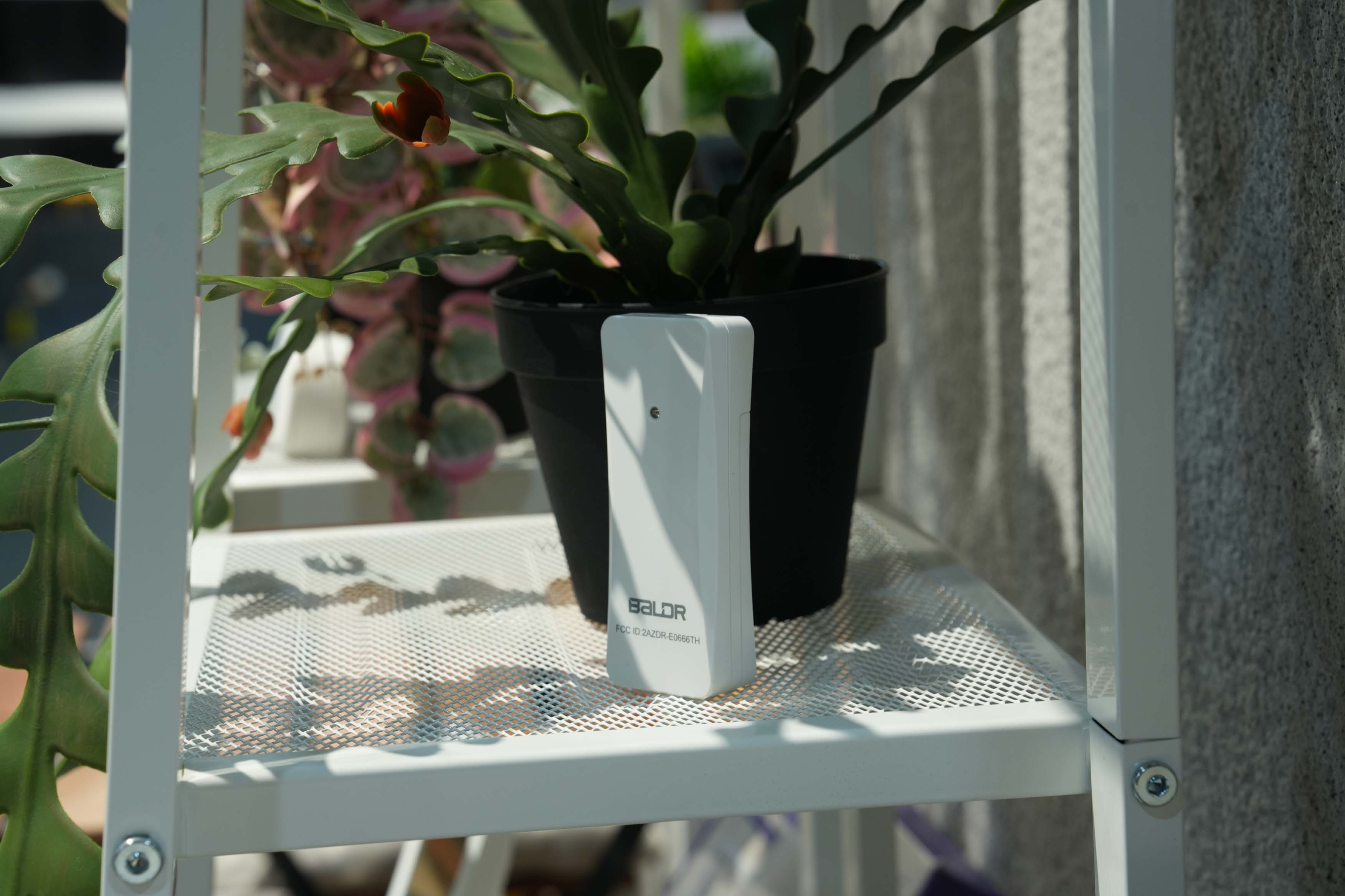 BALDR Wireless Temperature & Humidity Sensor 